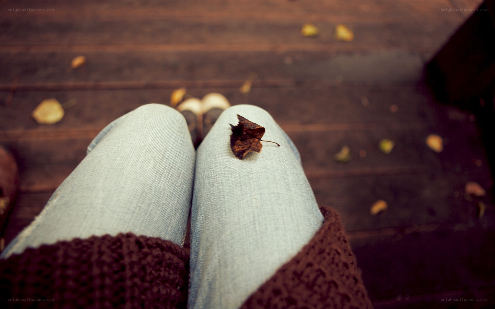 person sitting with leaf on knee