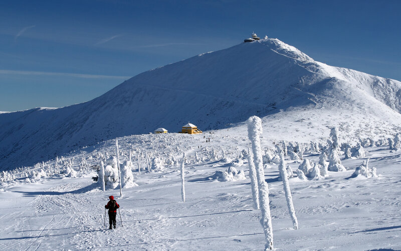 Person Skiing in Snow