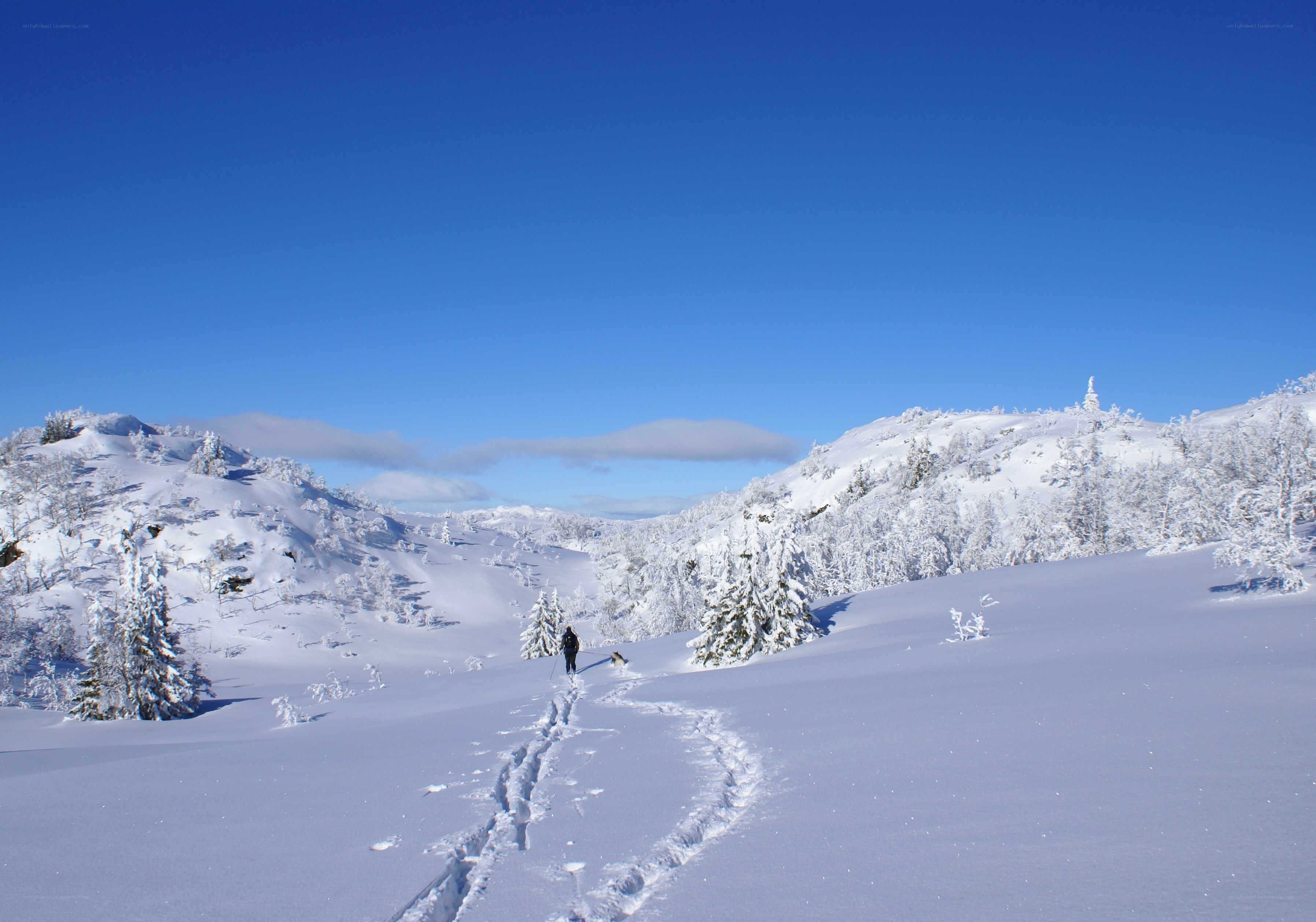 Person skiing in snowy landscape