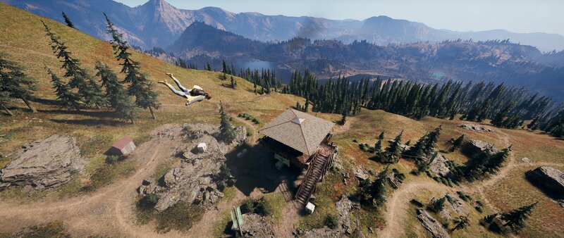 Person Skydiving over Cabin