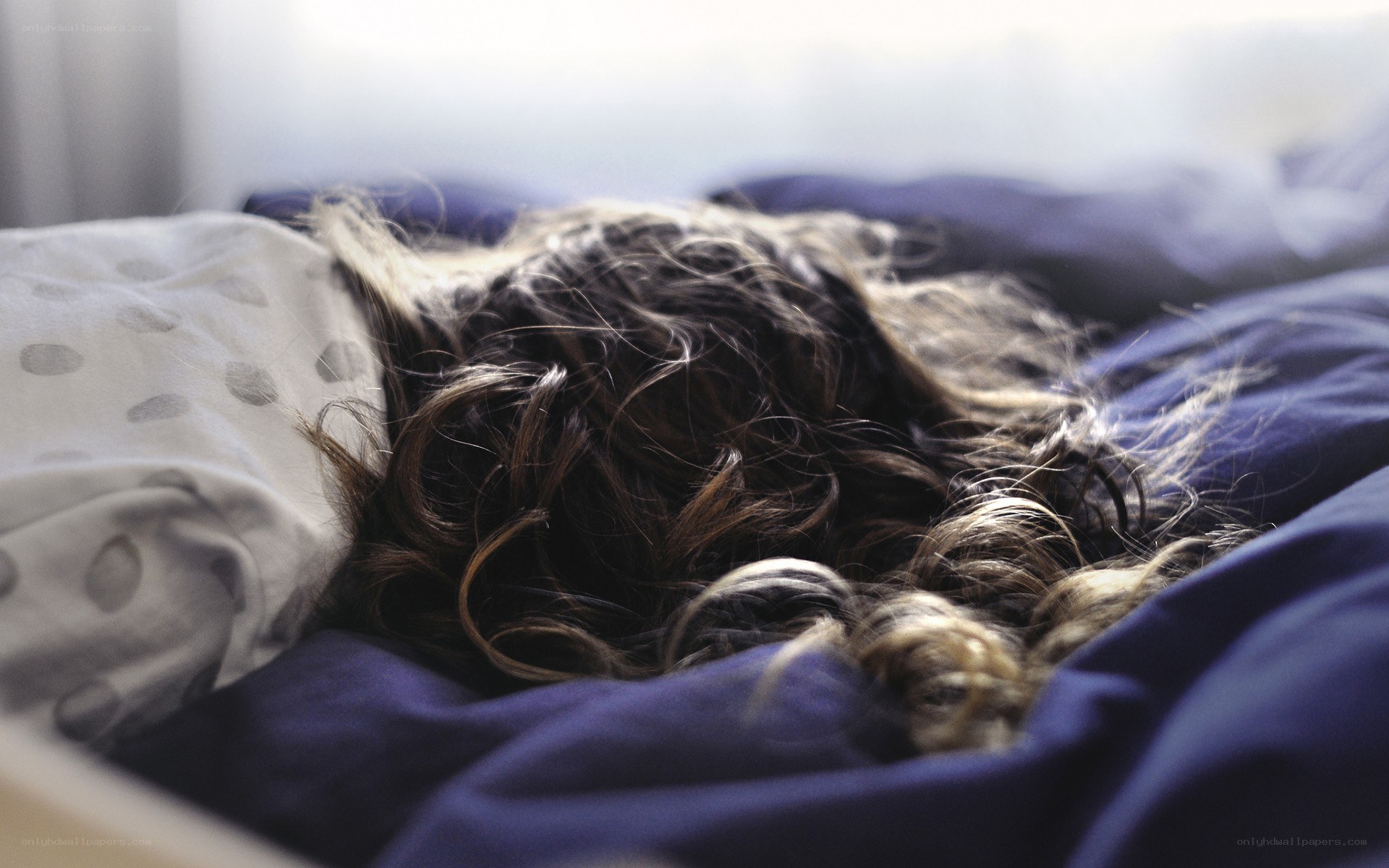 person sleeping in bed