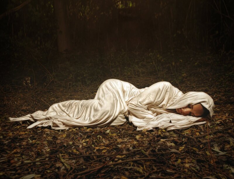 Person sleeping in forest