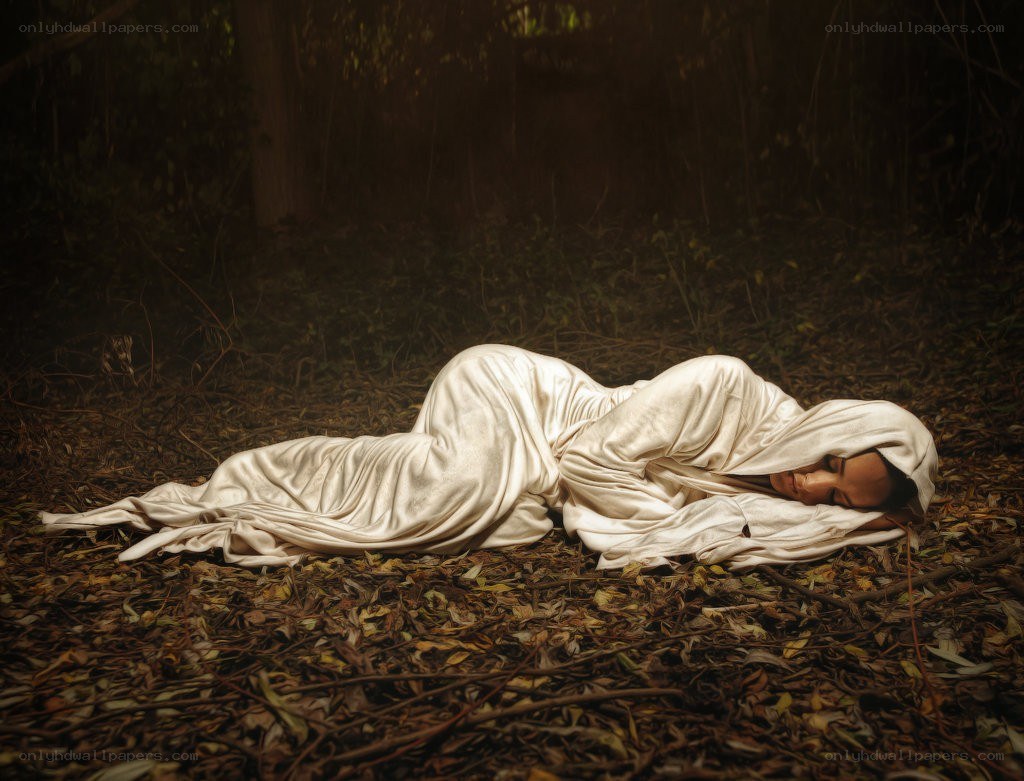 Person sleeping in forest
