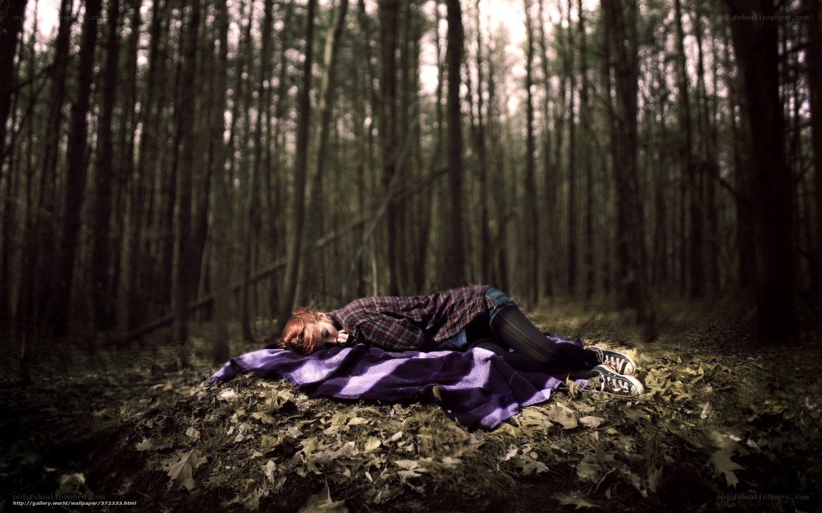Person sleeping in forest
