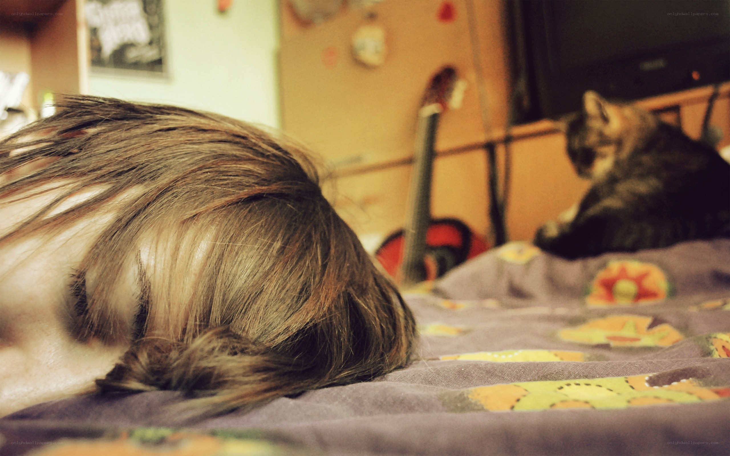 person sleeping on bed with cat