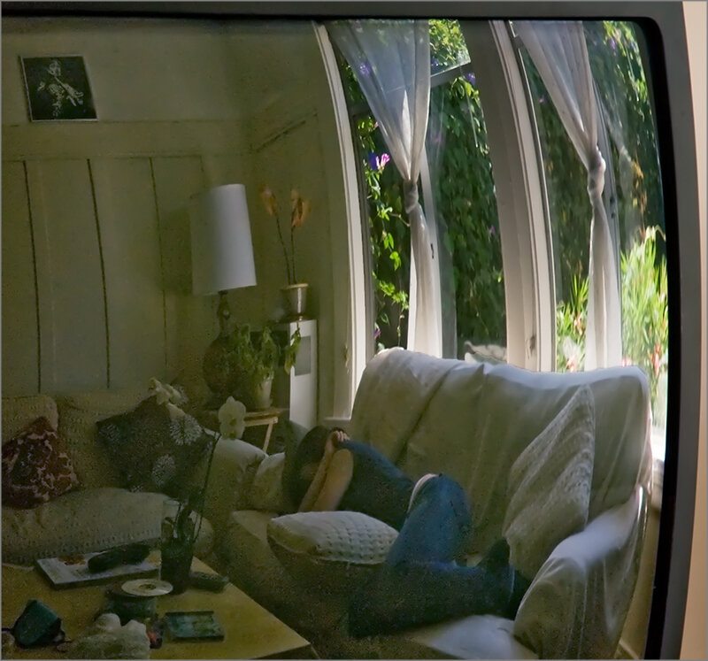 Person Sleeping on Couch