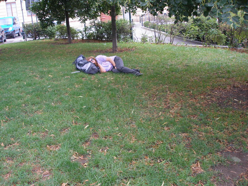 Person Sleeping on Grass
