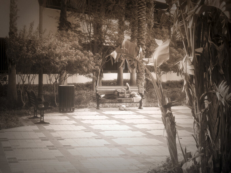 Person sleeping on park bench