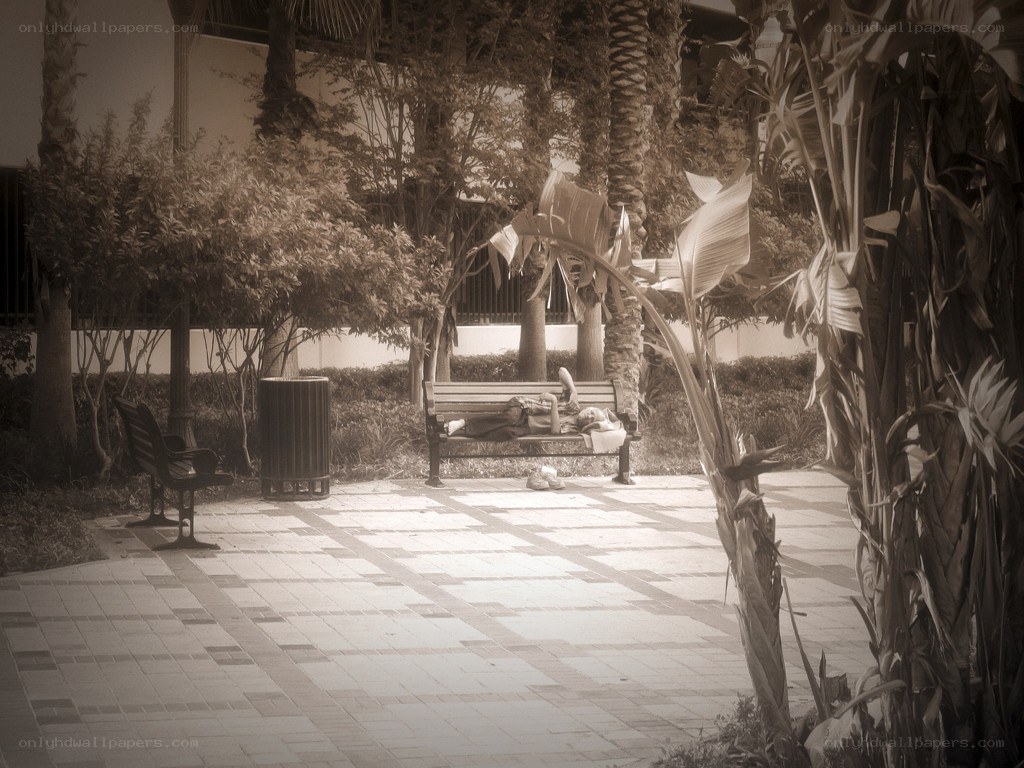 Person sleeping on park bench