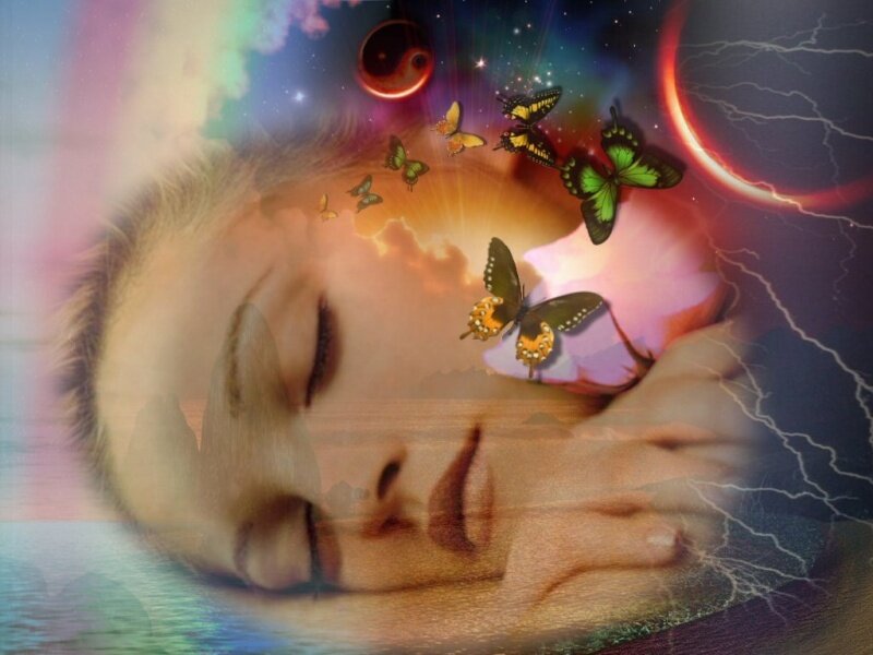 Person Sleeping with Butterflies