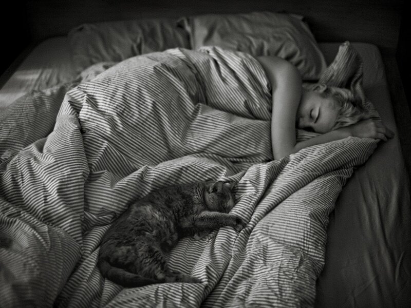 Person Sleeping with Cat — Black