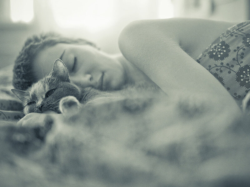 Person Sleeping with Cat