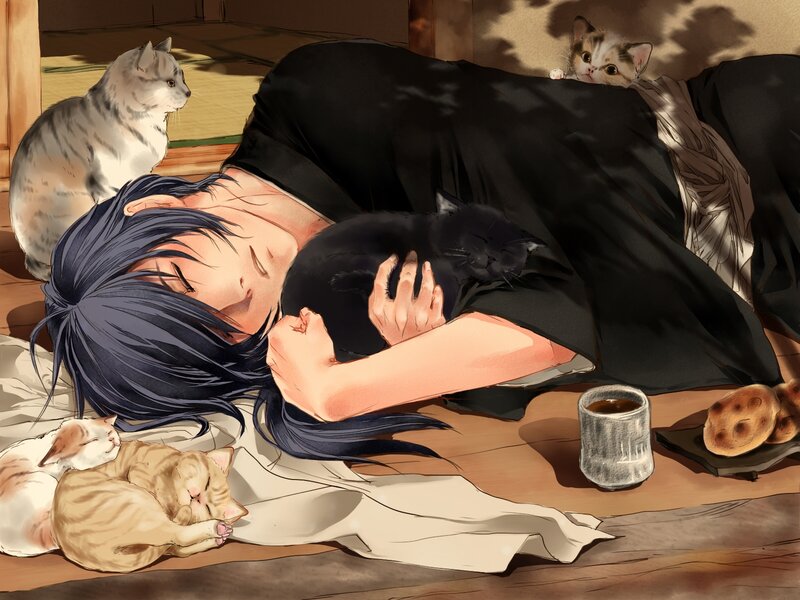 Person Sleeping with Cats — Black