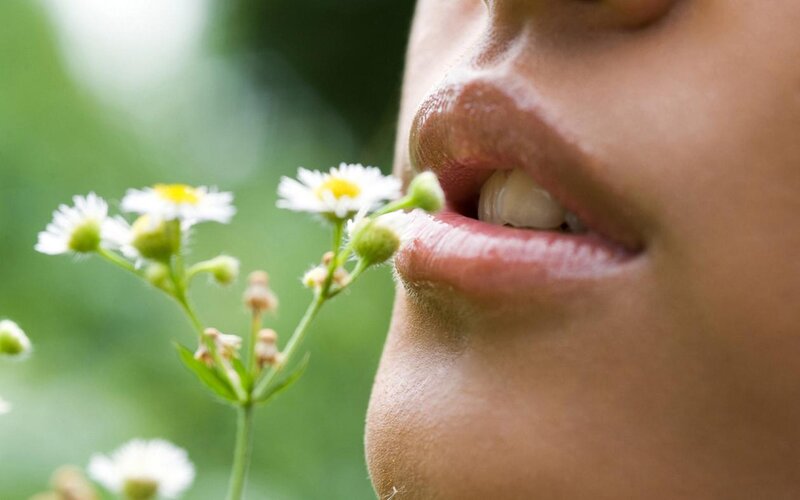 Person Smelling Flowers