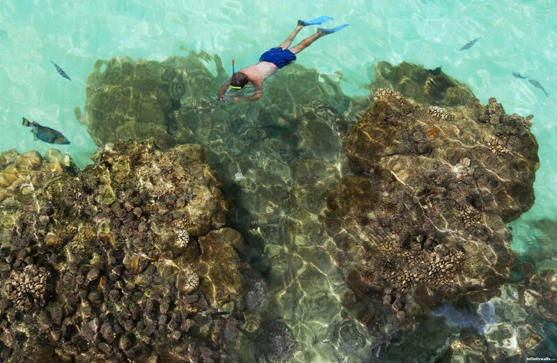Person Snorkeling in Reef