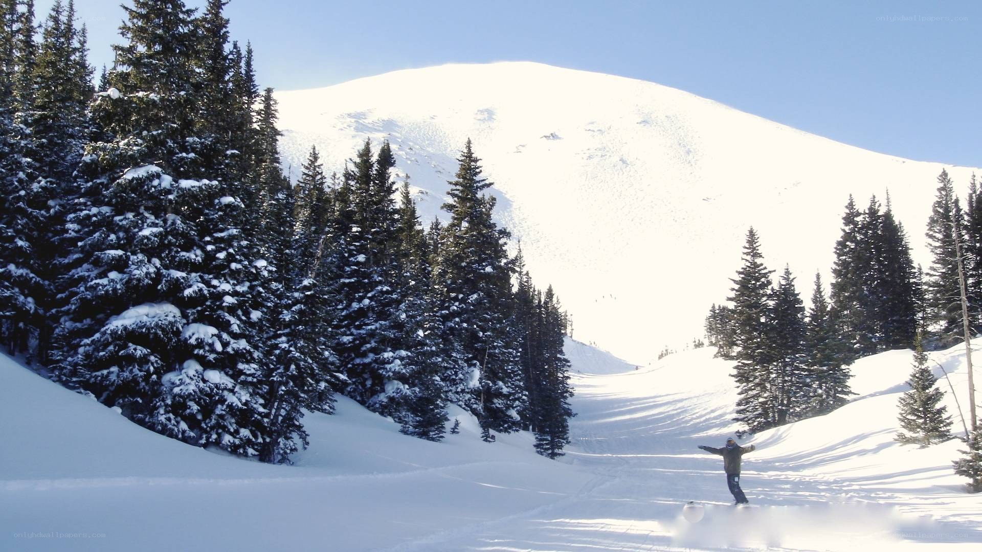 person snowboarding on mountain