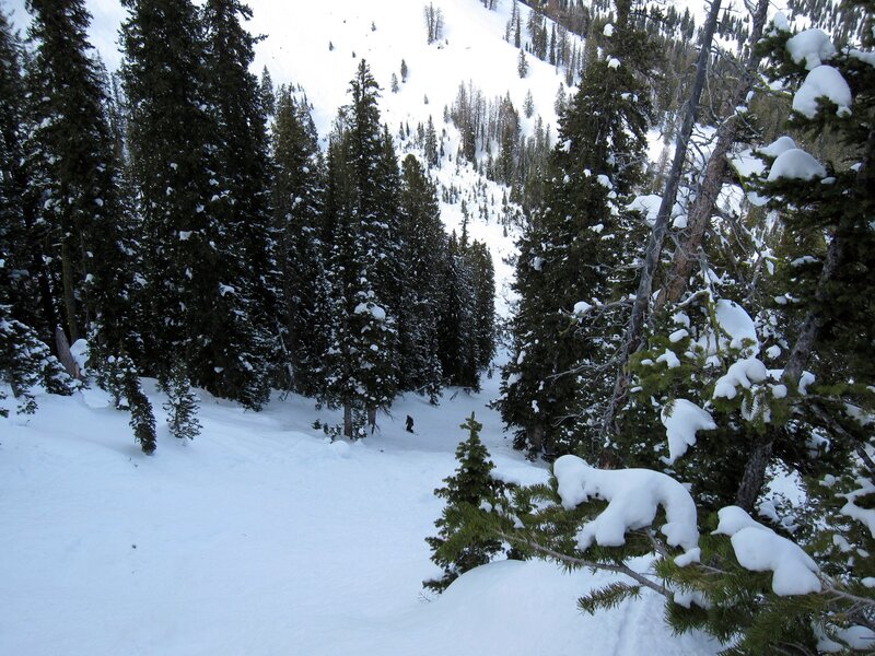 Person Snowboarding — White, Serene