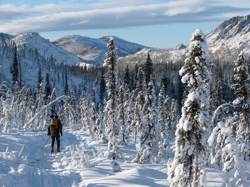 Person Snowshoeing