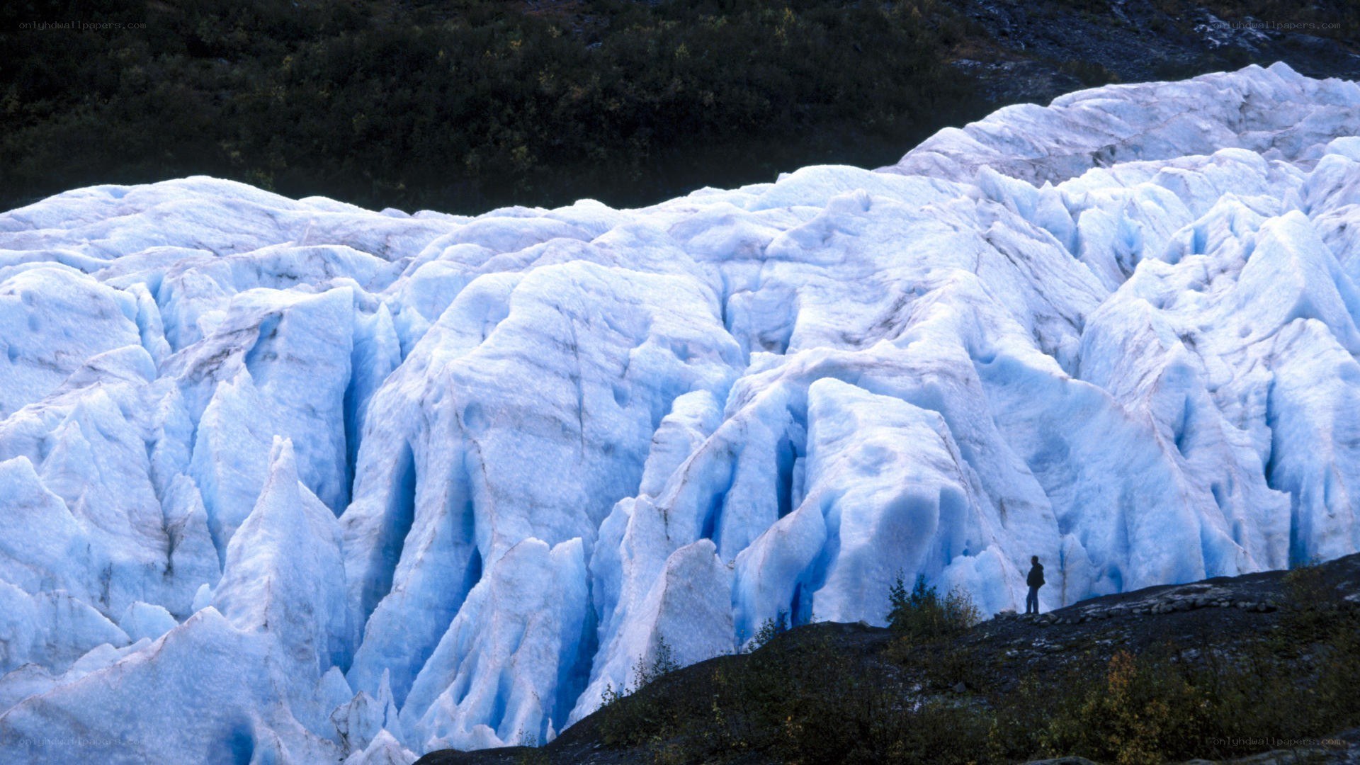 person standing before glacier