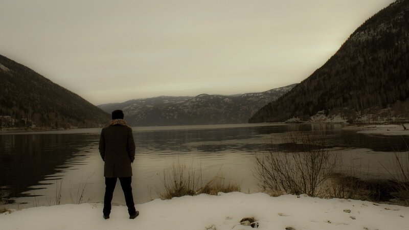 Person Standing by Lake — Brown