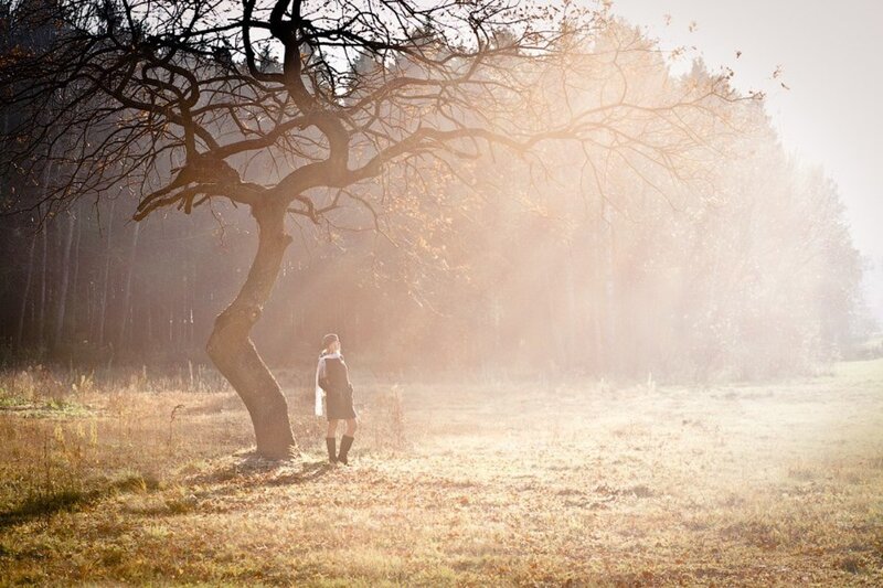 Person Standing by Tree