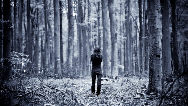 Person Standing in Forest — Blue, Somber