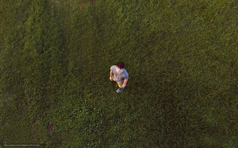 person standing in grass field