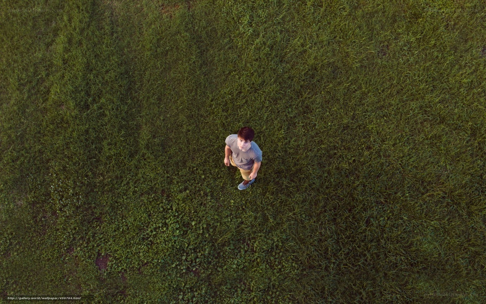 person standing in grass field