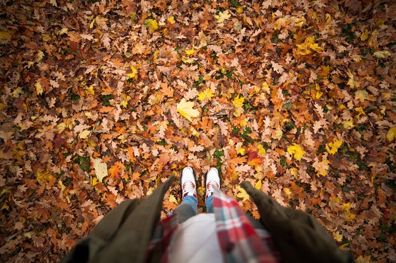 Person Standing in Leaves
