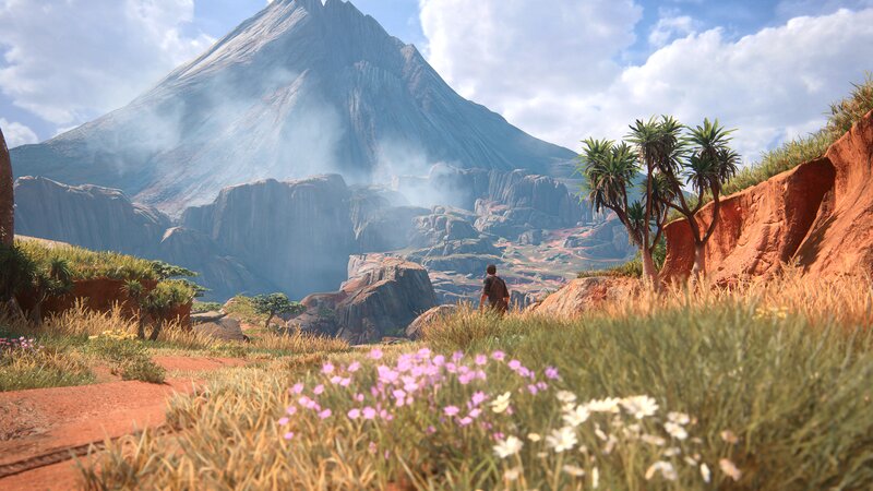 Person Standing in Valley