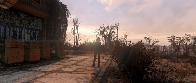 Person Standing in Wasteland