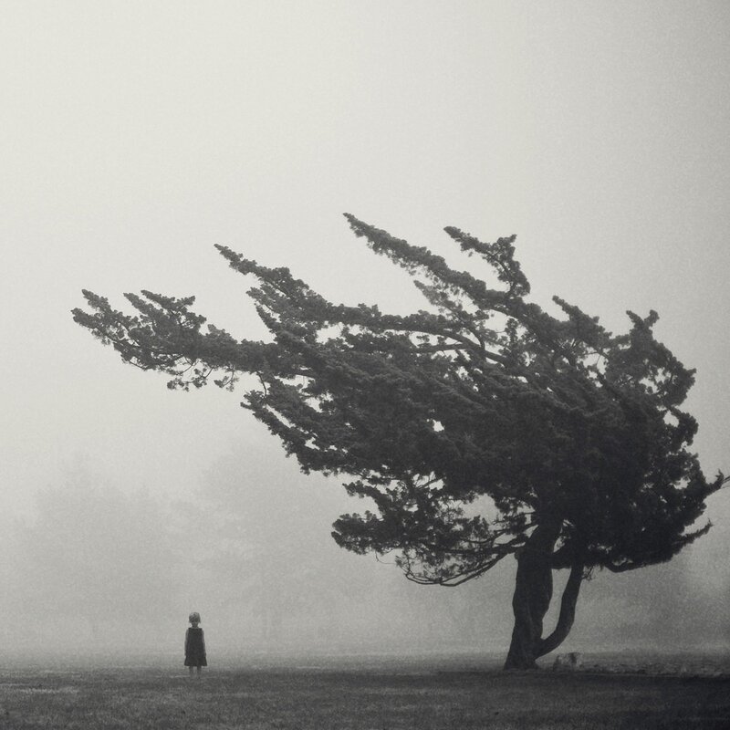 Person Standing Near Tree — Black