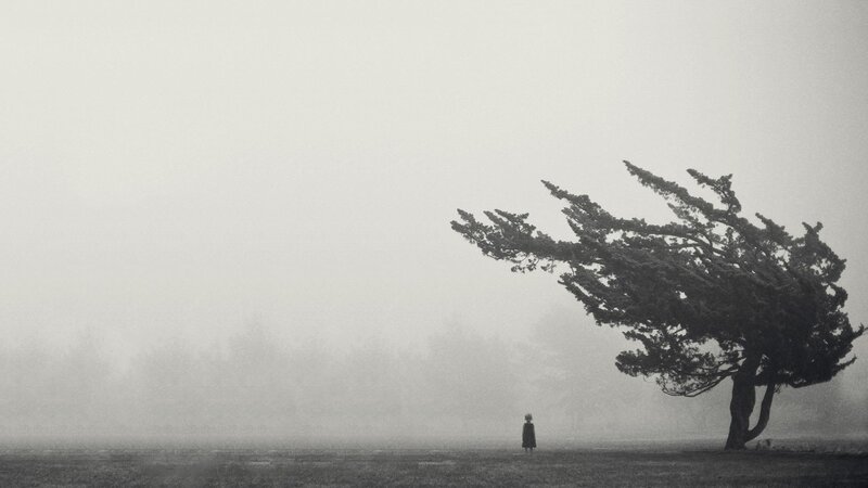 Person Standing Near Tree