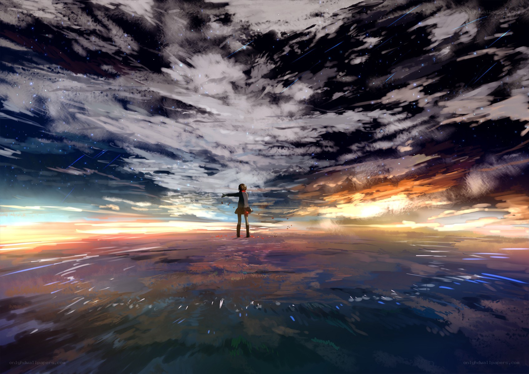 Person standing on a vast landscape