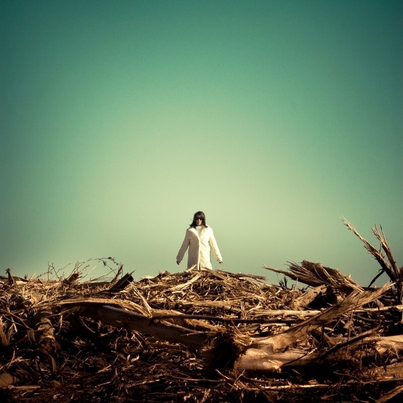 person standing on driftwood pile