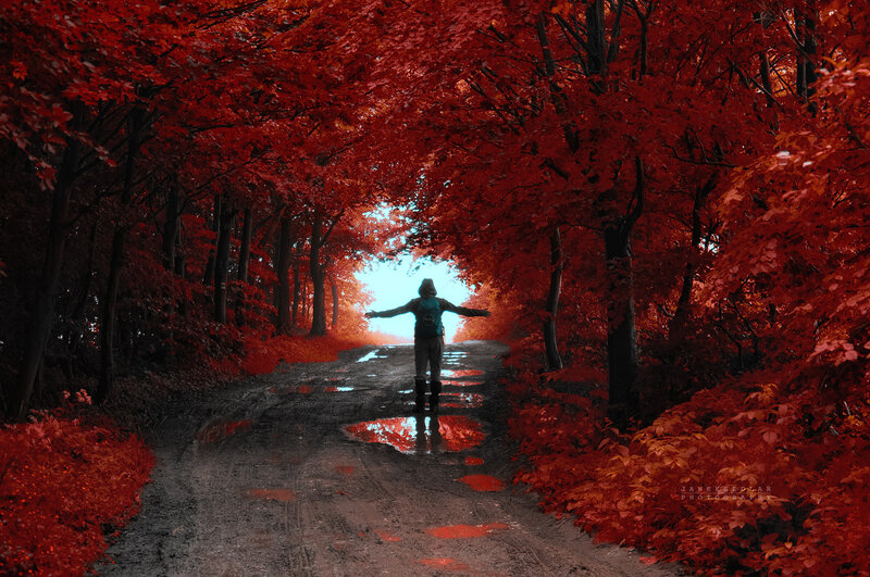 Person Standing on Path