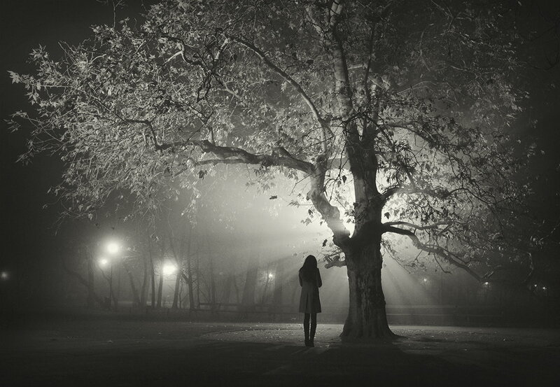 Person Standing under Tree — Black