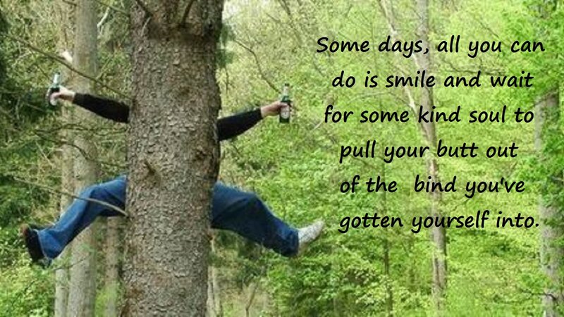 Person Stuck in Tree