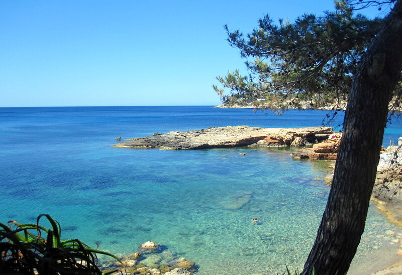 Person Swimming in Cove — Blue