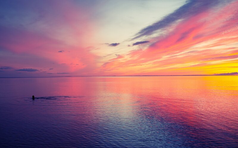 Person Swimming in Ocean — Pink