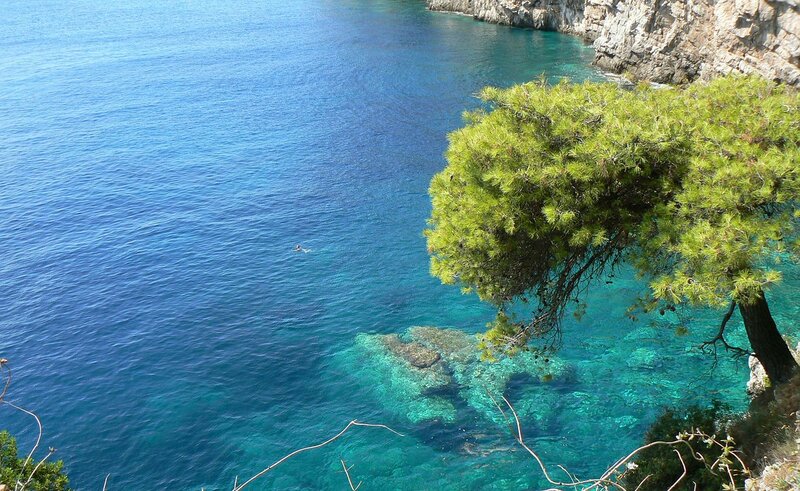 Person Swimming in Sea
