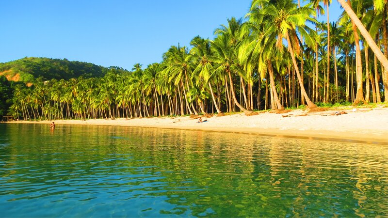 Person Swimming in Tropical Water