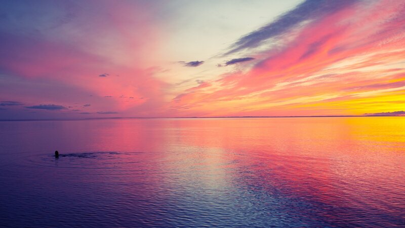 Person Swimming in Water — Pink
