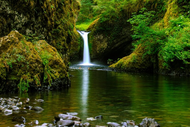 Person Swimming under Waterfall — Green