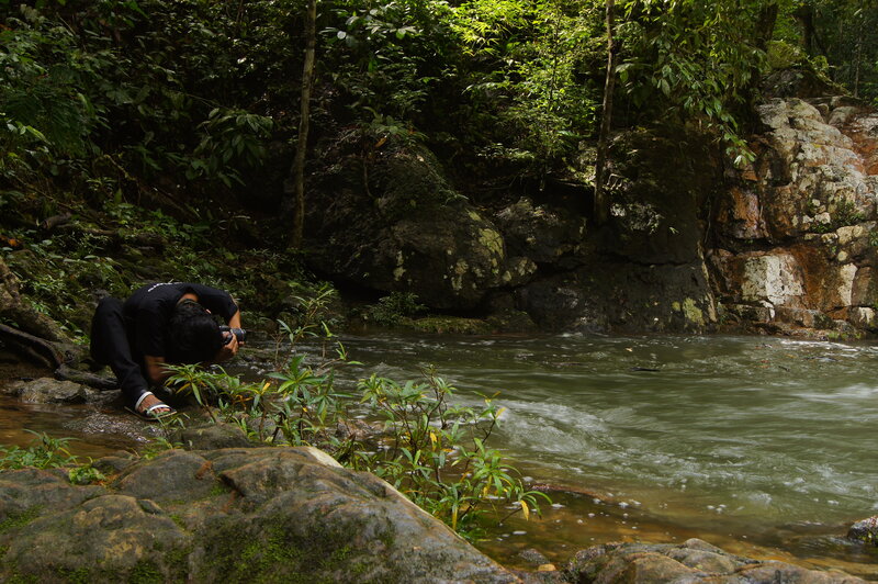 Person Taking Photo by Stream