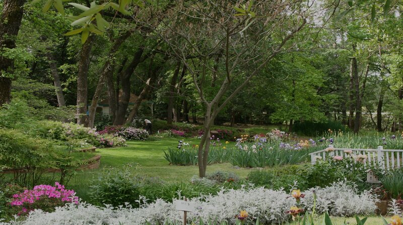 Person Tending Garden