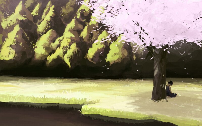 Person under a cherry blossom tree