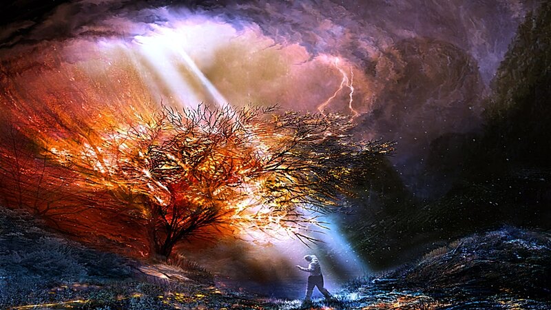 person under a glowing tree