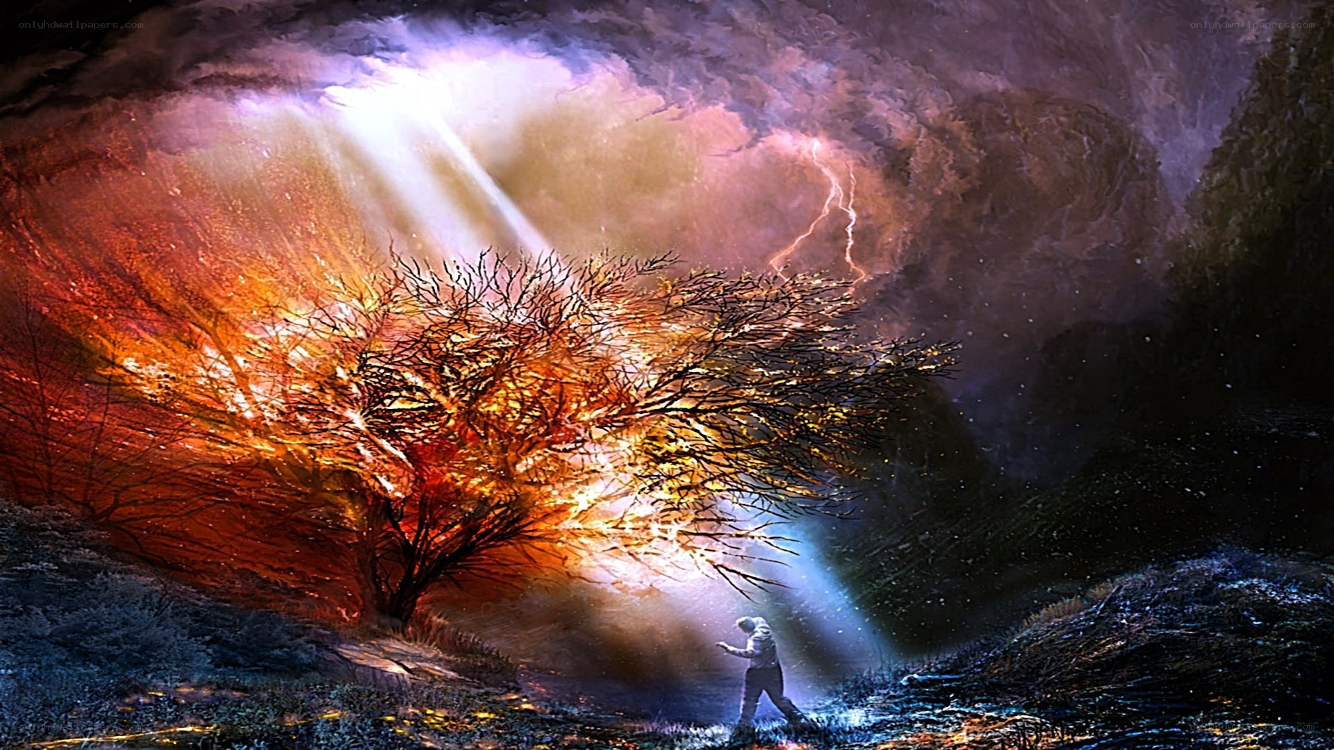 person under a glowing tree