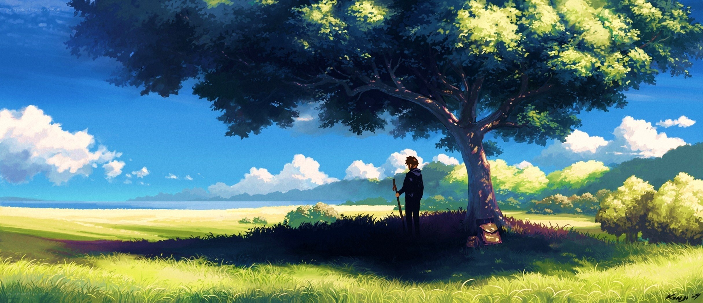 Person under a tree in a field